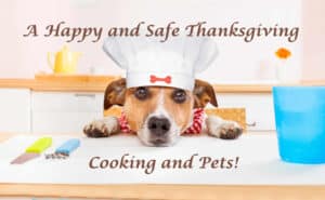 ahappyandsafe